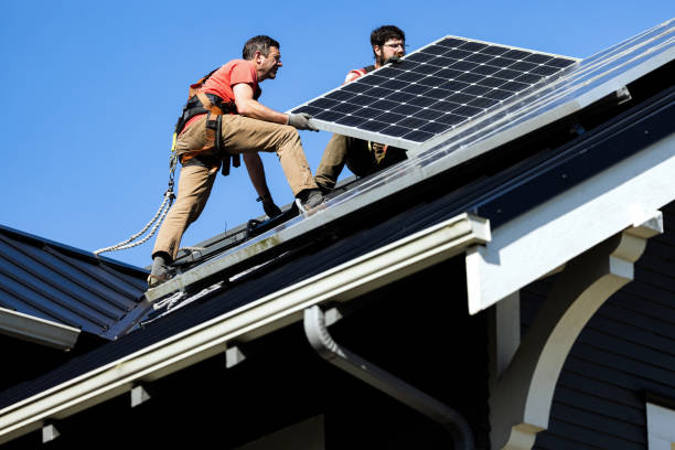 Best Roof Moss and Algae Removal  in Belle Isle, FL